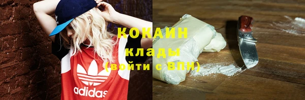 шишки Ельня