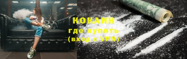 шишки Ельня