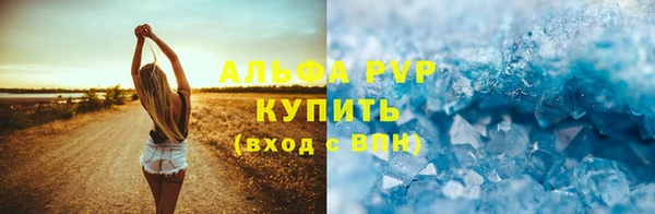 шишки Ельня