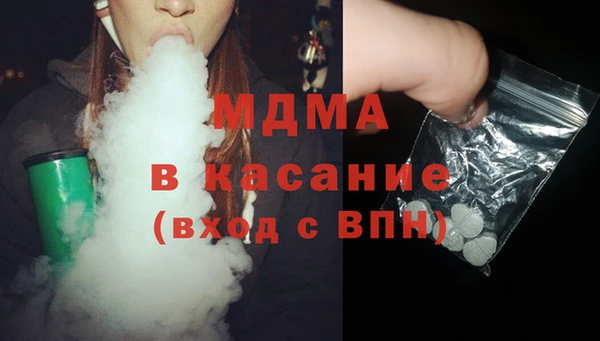 шишки Ельня