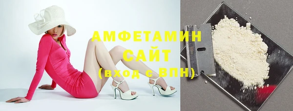 шишки Ельня