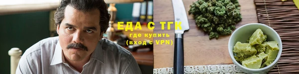 шишки Ельня