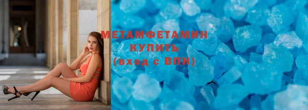 шишки Ельня