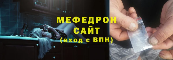 шишки Ельня
