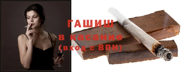 шишки Ельня
