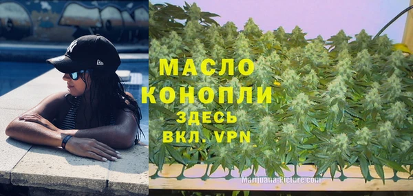 шишки Ельня