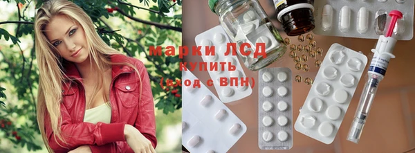 шишки Ельня