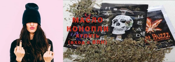 шишки Ельня