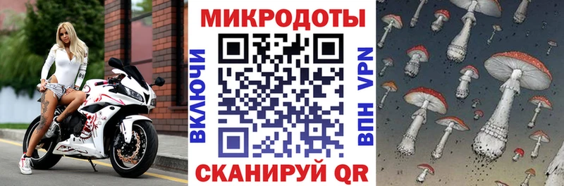 цена наркотик Себеж Псилоцибиновые грибы мицелий